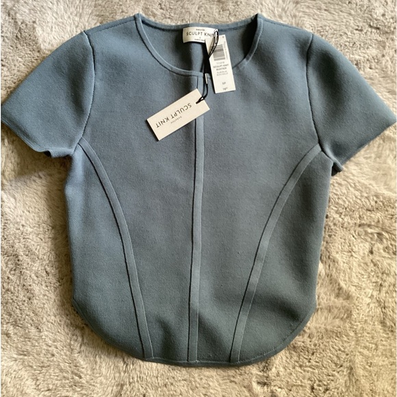 Babaton Aritzia Sculpt Knit Bustier Top - Picture 5 of 5